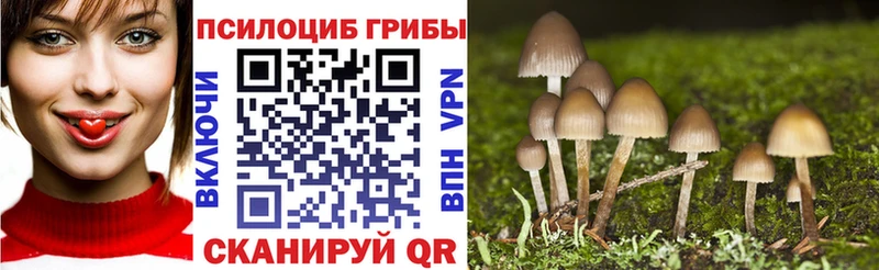 закладка  гидра онион  Галлюциногенные грибы GOLDEN TEACHER  Соль-Илецк 